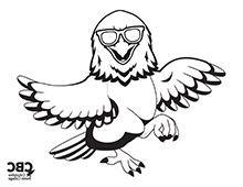 网赌正规真人实体在线平台 Hawk with Sunglasses Coloring Page